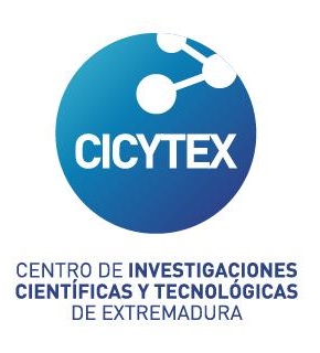 CITYEX